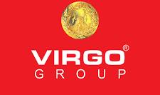 Vigro Group logo