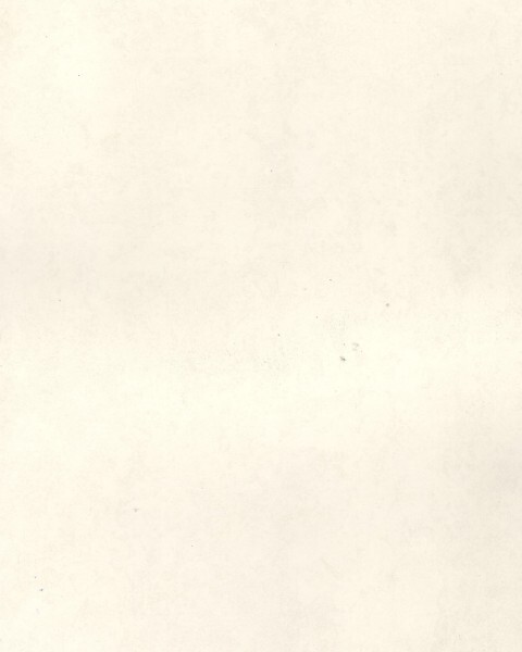 Viva | Santa Fe | VA 12011 | Frosted Canvas