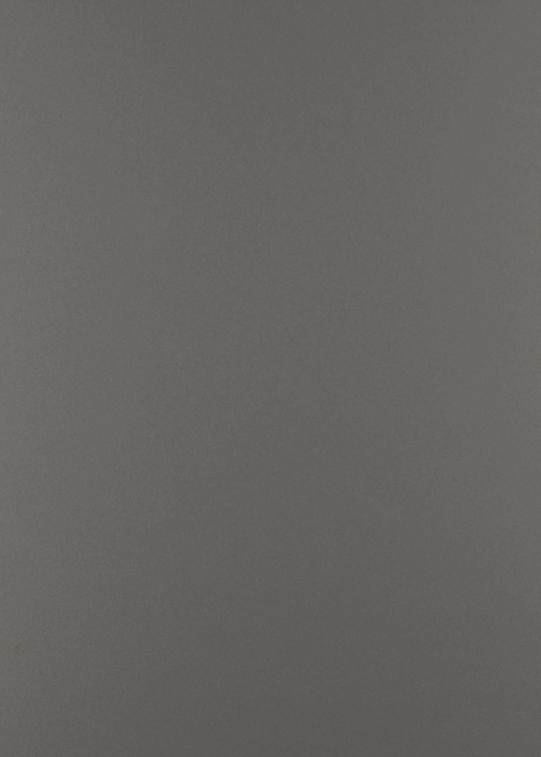 AD -03 Champagne Silver I Nexcomb 